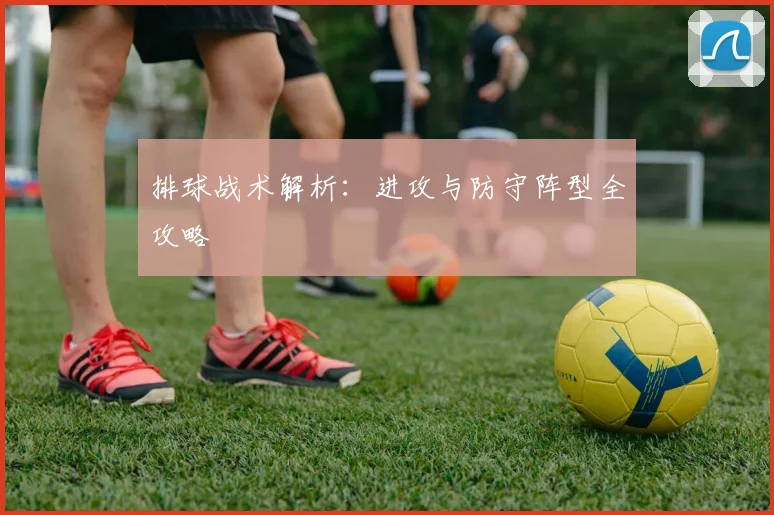 排球战术解析:进攻与防守阵型全攻略