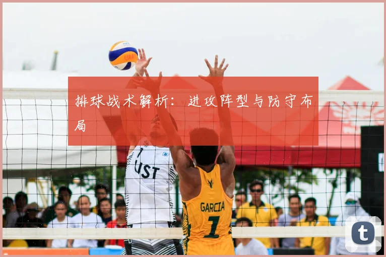 排球战术解析:进攻阵型与防守布局