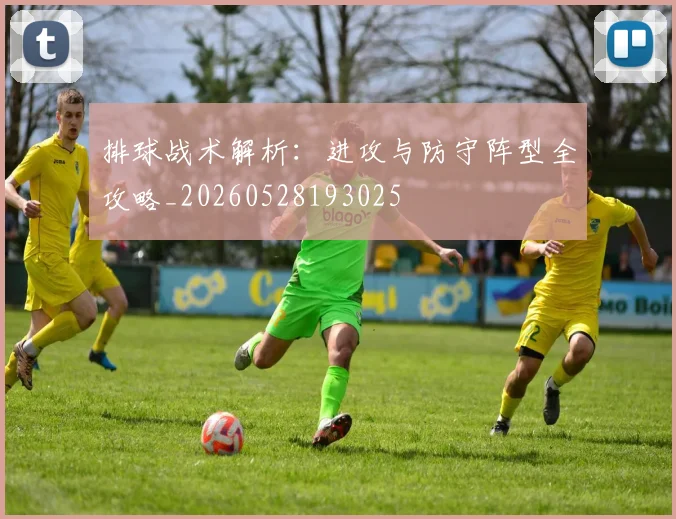 排球战术解析:进攻与防守阵型全攻略_20260528193025